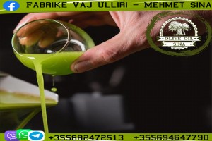 Olive Oil from Albania